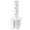 Kit démarrage basilic urbain